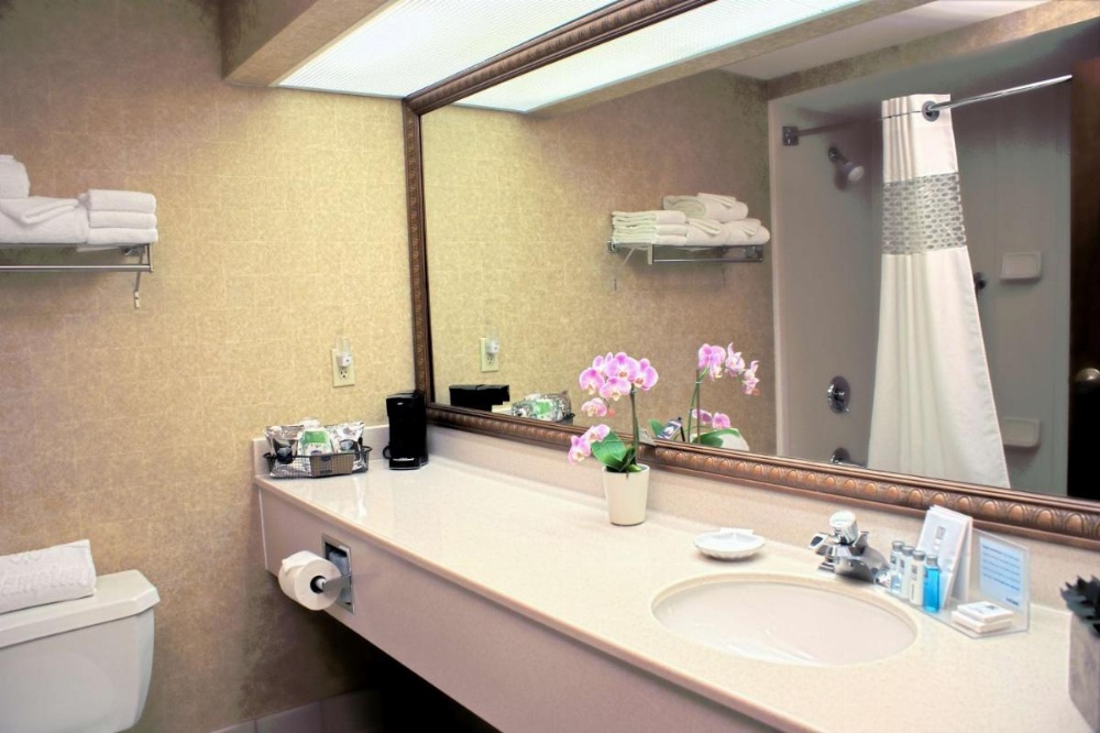 Hampton Inn By Hilton Las Vegas/Summerlin Image 33